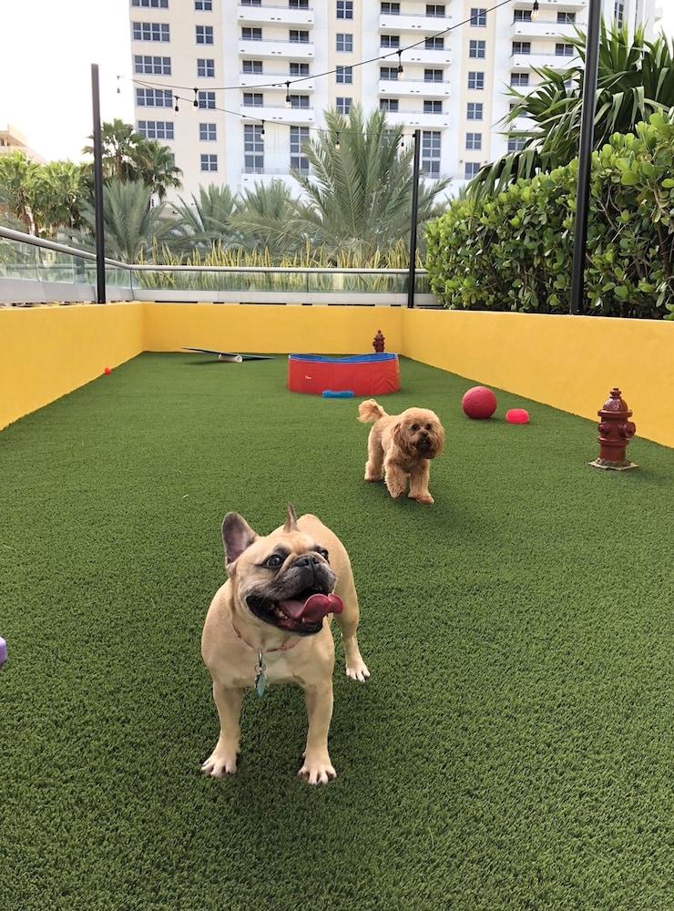Hyatt Centric South Beach Miami Маями Бийч Екстериор снимка